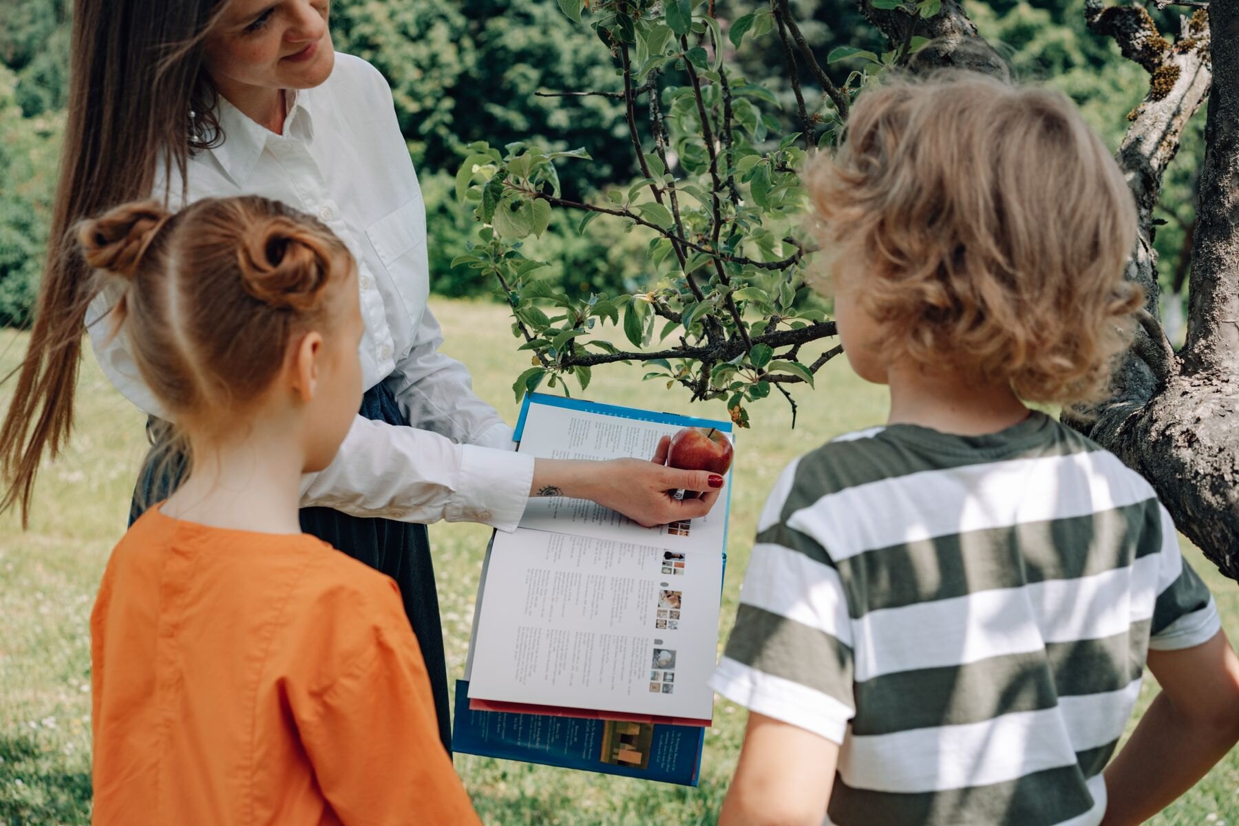 Eine Erwachsene vermittelt zwei Kindern Naturwissen im Grünen