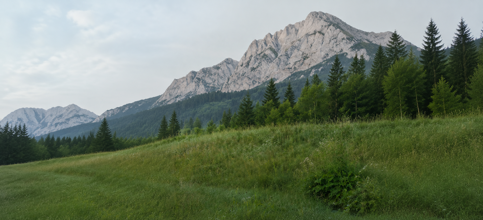 Alpine Naturlandschaft